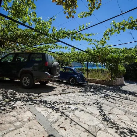 Ground Floor Kovacic